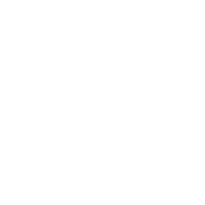 logo explore eastern europe white